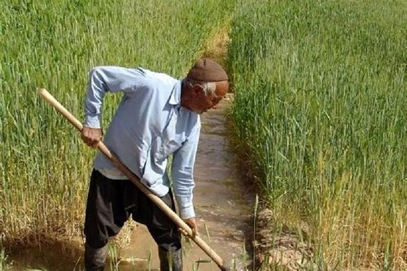 ۱۳۰۰ نفر در شیروان جذب بیمه روستایی عشایری میشوند