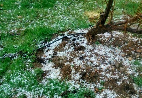 تمام مطالبات کشاورزان خسارتدیده جوین پرداخت شد