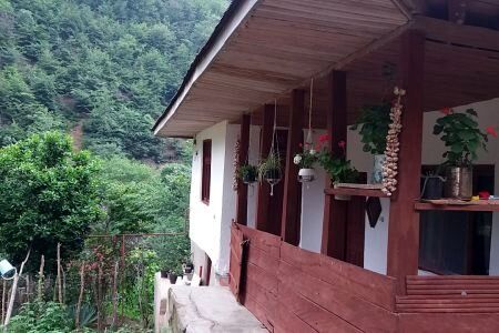 اجرای بیمه روستایی در دستورکار قرار گرفت