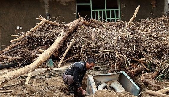 30 درصد خانههای روستایی سمنان پوشش بیمهای دارند
