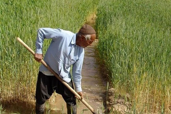 بیش از 90 هزار مستمری بگیر از بسته مساعدتی صندوق برخوردار شدند