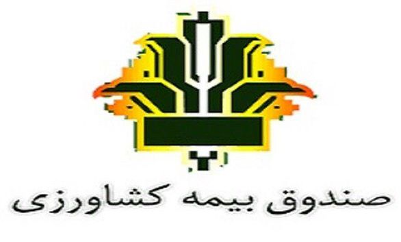 کمیسیون کشاورزی مجلس بودجه 2هزار و 500 میلیارد تومانی برای بیمه کشاورزی ارائه داد