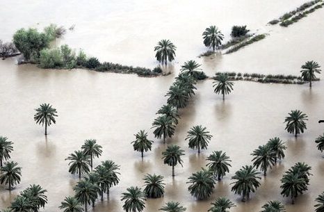 آخرین وضعیت پرداخت غرامت سیل به بخش کشاورزی خوزستان