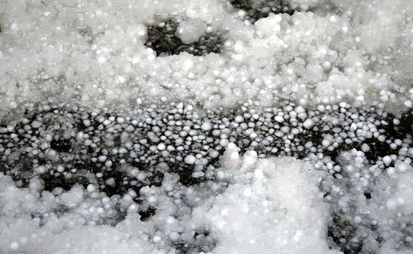 بیمه خسارت کشاورزان ارومیهای را پرداخت نکرد