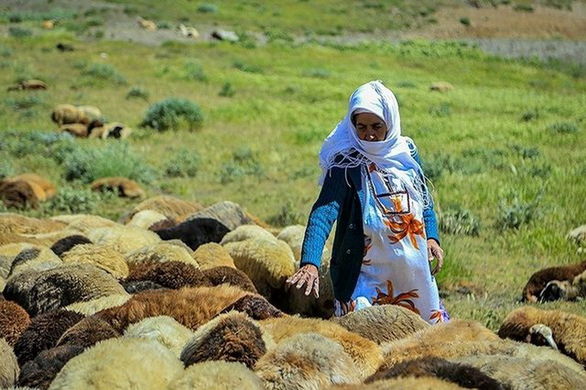 شهرستان بانه ۶ هزار سرپرست خانوار فاقد بیمه دارد