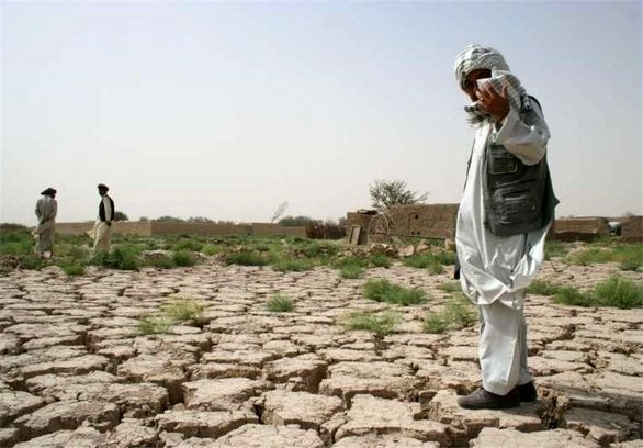 بیش از ۱۵ میلیارد تومان خسارت به کشاورزان پرداخت شد