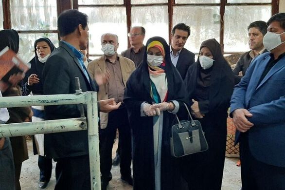 مشکلات بیمه قالیبافان در دست پیگیری است