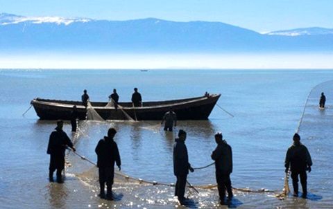 کاهش 10 درصدی حق بیمه صیادان 3 ماه اجرایی شد