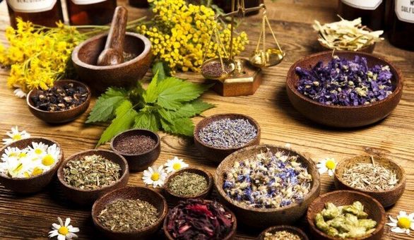 غفلت جدی شرکتهای بیمهای از بازار پرسود گیاهان دارویی