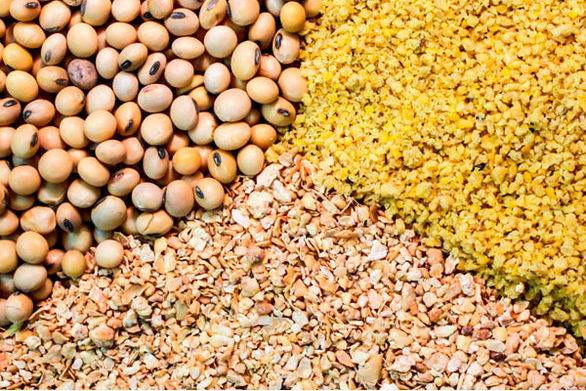 بیشترین ضعف شرکتهای بیمهای در پرداخت به موقع خسارت است