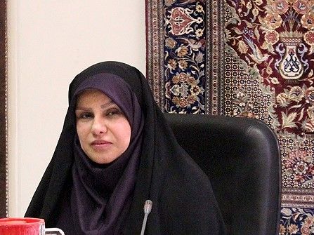 ۲۶۱ هزار قالیباف درخواست بیمه تکمیلی دارند