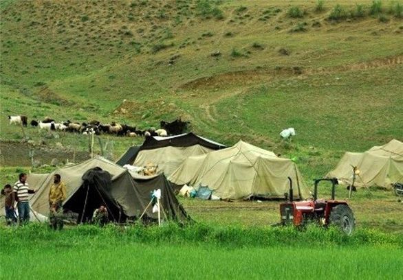 عضویت در صندوق بیمه دام برای عشایری اجباری شد