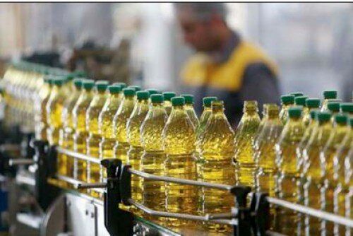 مشکل کمبود روغن در بازار تهران رفع میشود