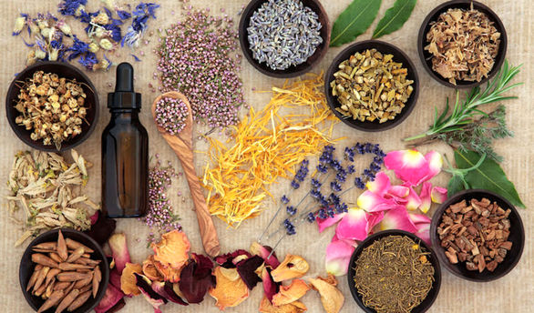 طب سنتی در عطش حضورپر رنگتر سازمانهای بیمهگر