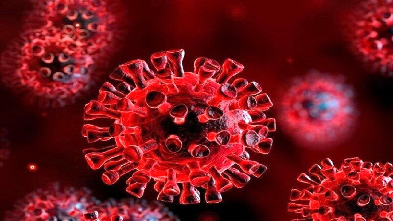 بستری بیماران کرونایی در بیمارستانهای تامین اجتماعی چقدر هزینه دارد؟