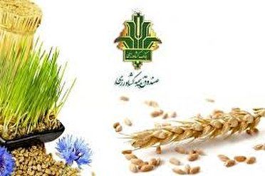 نارضایتی کشاورزان از بیمه محصولات کشاورزی