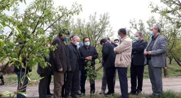 پرداخت غرامت بیمه به باغداران بسیار ناچیز است