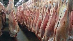 قیمت‌های گوشت گرم گوسفندی و گوساله  در خرده‌فروشی‌ها اعلام شد