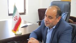  35 هزار راس دام عشایر در برابر حوادث مختلف بیمه شد