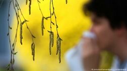 تبی که با تغییر فصل اوج می‌گیرد
