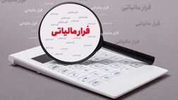  کتمان کنندگان درآمد در سازمان مالیاتی نقره داغ شدند 