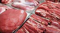 کمبودی در عرضه دام و گوشت قرمز نداریم