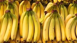 قیمت منطقی هر کیلو موز یک دلار است
