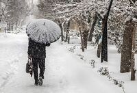 بارش برف و باران در ۲۰ استان کشور