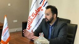 پوشش ریسک امنیت سایبری در صنعت بیمه مغفول مانده است