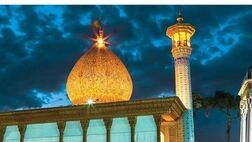 شیراز میزبان اجلاس سراسری مدیران بیمه دی
