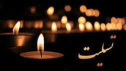 درخواست وزیر اقتصاد از بیمه مرکزی برای پیگیری حداکثر مساعدت در ارائه خدمات بیمه‌ای به حادثه دیدگان