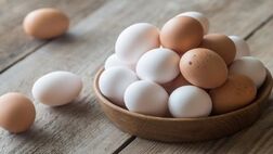 تولید ماهانه ۱۰۷ هزار تن تخم‌مرغ 