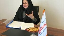 آیین نامه‌های نهاد ناظر هیات مدیره شرکت بیمه ای را برای سرمایه گذاری محدود کرده است