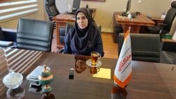 بیمه گران اتکایی انتظارات ارائه نرخ و شرایط را تا اکنون برآورده نکرده اند