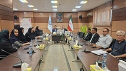 برگزاری جلسه توجیهی طرح «فرهنگ» در بیمه ایران استان لرستان

