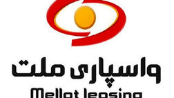 حضور دو عضو جدید در هیات مدیره واسپاری ملت