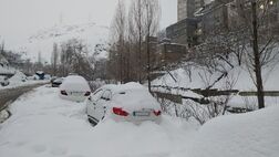 سرمای این روزها، به اندازه سیبری است!