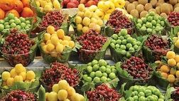 نیم میلیون هکتار از باغات تحت پوشش بیمه هستند/ کاهش یک میلیونی تولیدات محصولات هسته‌دار و خشکبار