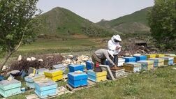 مزایای صندوق بیمه اجتماعی کشاورزان، روستاییان و عشایرضعیف است