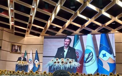 شرکت های بزرگ بیمه ای چارچوب های خود را از بیمه ایران الگو گرفته اند 