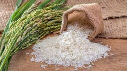 قیمت جدید برنج خارجی در سال ۱۴۰۳
