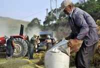 برنامه‌ریزی صندوق بیمه روستاییان برای جذب بیش از ۲۰۰ هزار نفر در ۱۴۰۵

