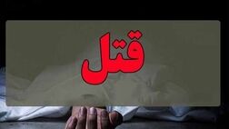 محاکمه عاملان قتل پسر ثروتمند با سم مار افعی
