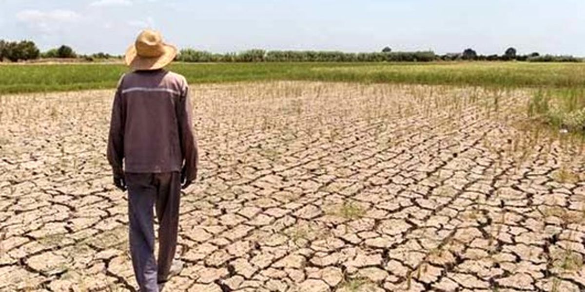 بیش از نیمی از زمینهای عراق در معرض تبدیل شدن به بیابان