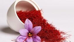 صادرات زعفران به ۱۶۱ تن رسید