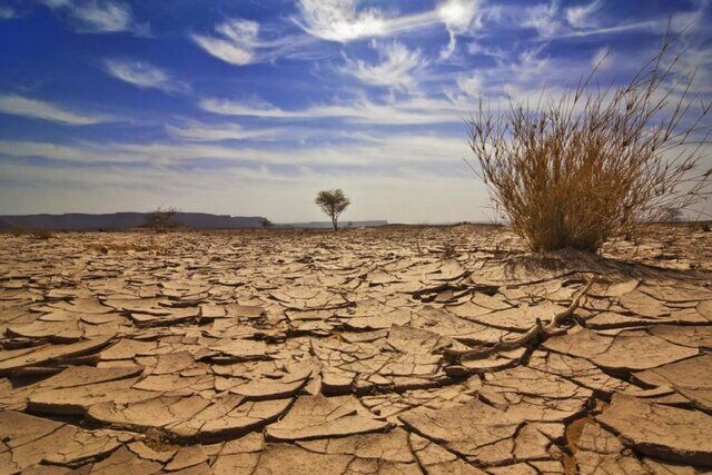 
احیای حدود ٩ میلیون هکتار کویر در ایران