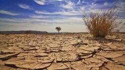 
احیای حدود ٩ میلیون هکتار کویر در ایران