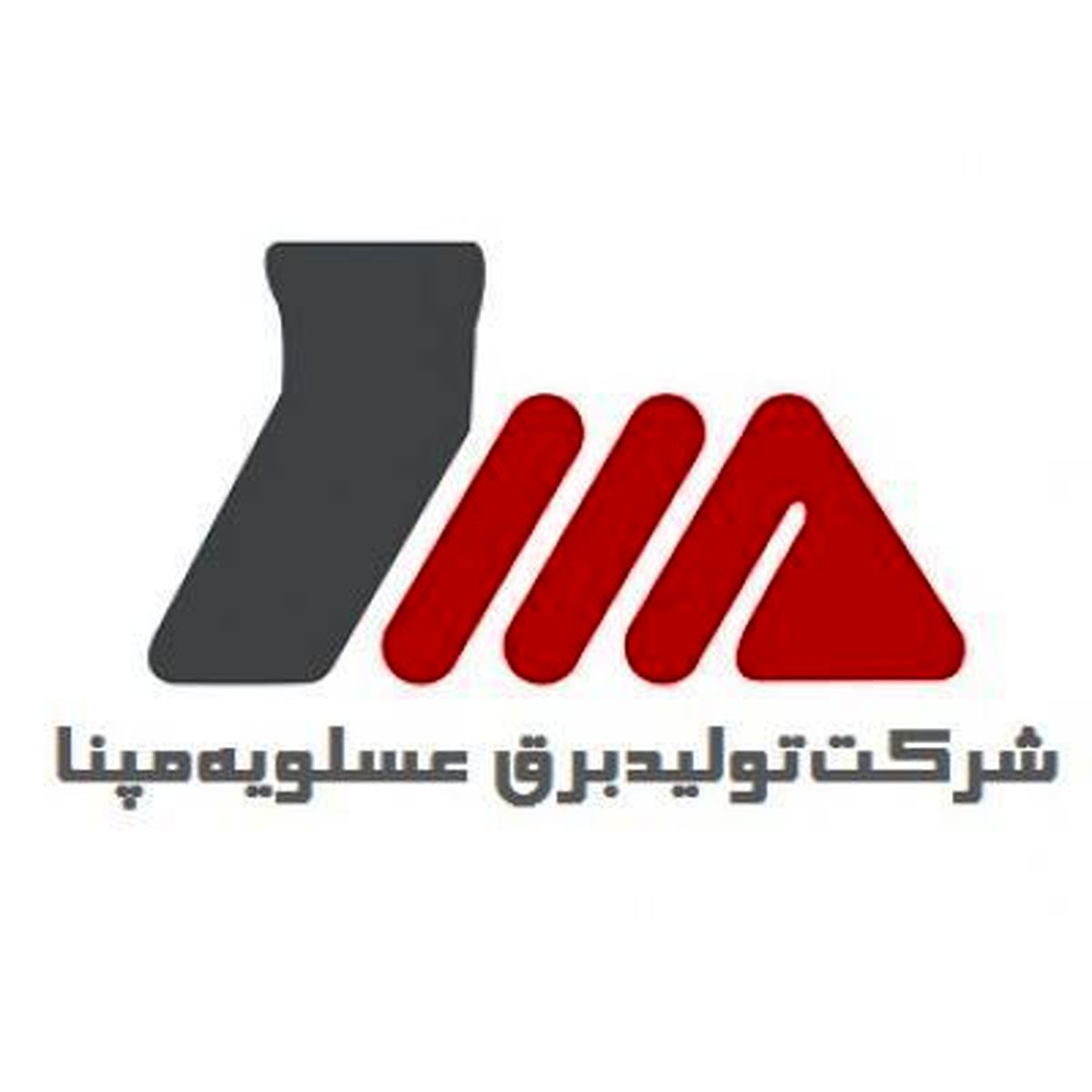 حضور یک عضو جدید در هیات مدیره تولید برق عسلویه مپنا