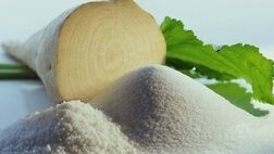نرخ جدید خرید تضمینی چغندر قند بهاره و پاییزه اعلام شد