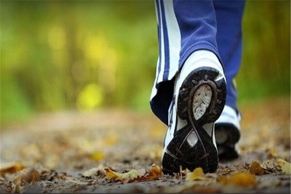 پیاده روی روزانه برای افزایش طول عمر نیاز است